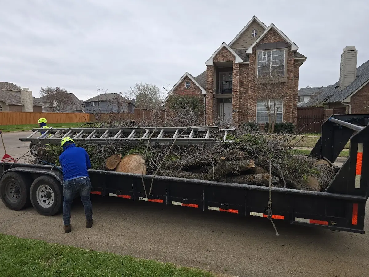 Expert Lot Clearing with proper safety equipment in Ben Franklin